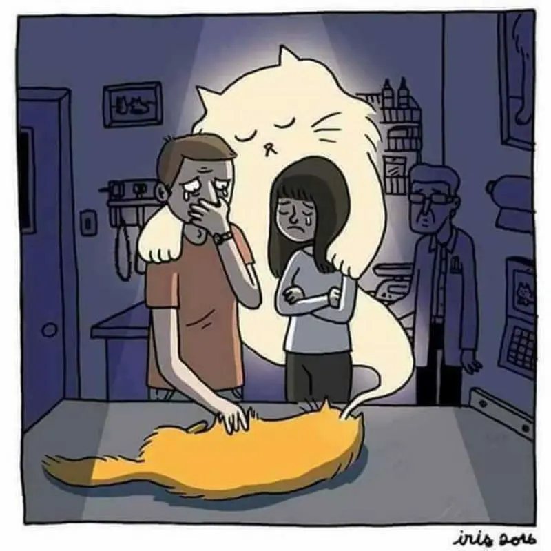 Condolence image of Jessica