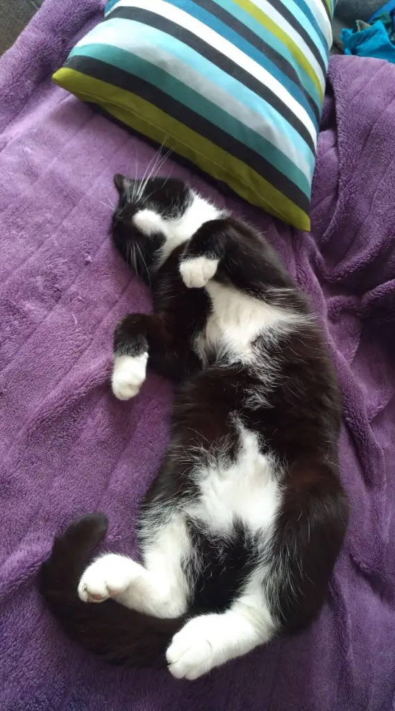 Condolence image of Kathrin