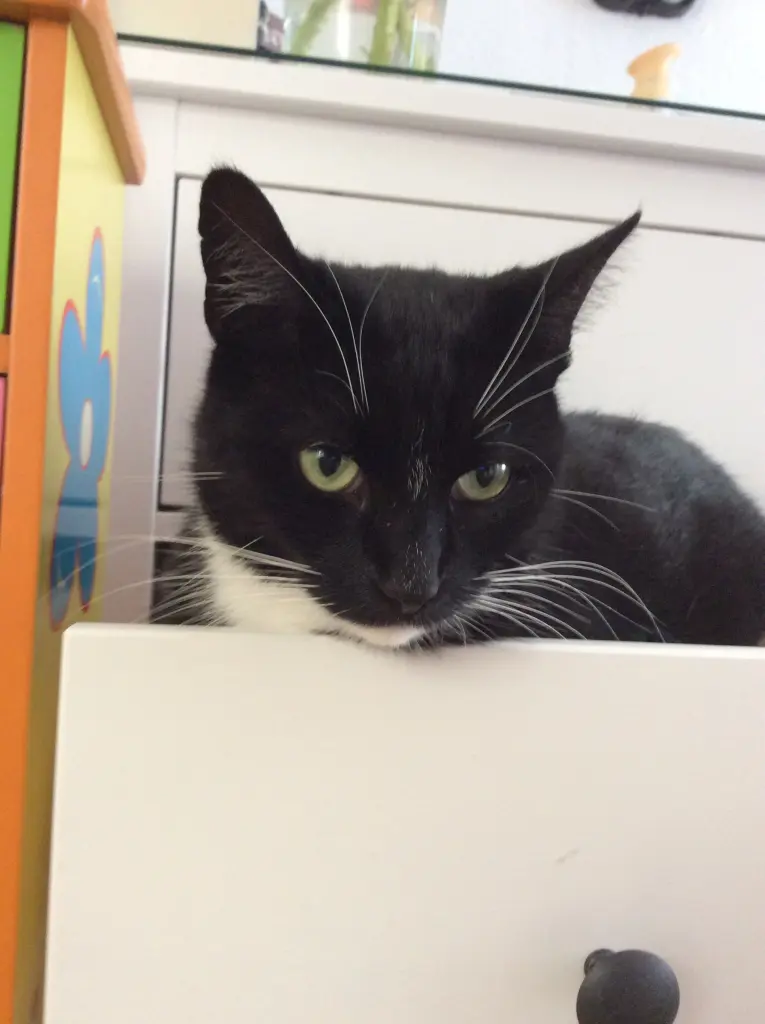 Condolence image of Marie