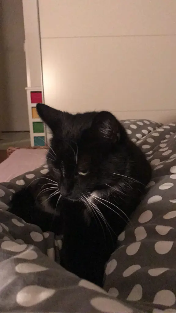 Condolence image of Kathrin