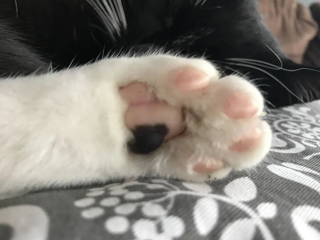 Condolence image of Marie