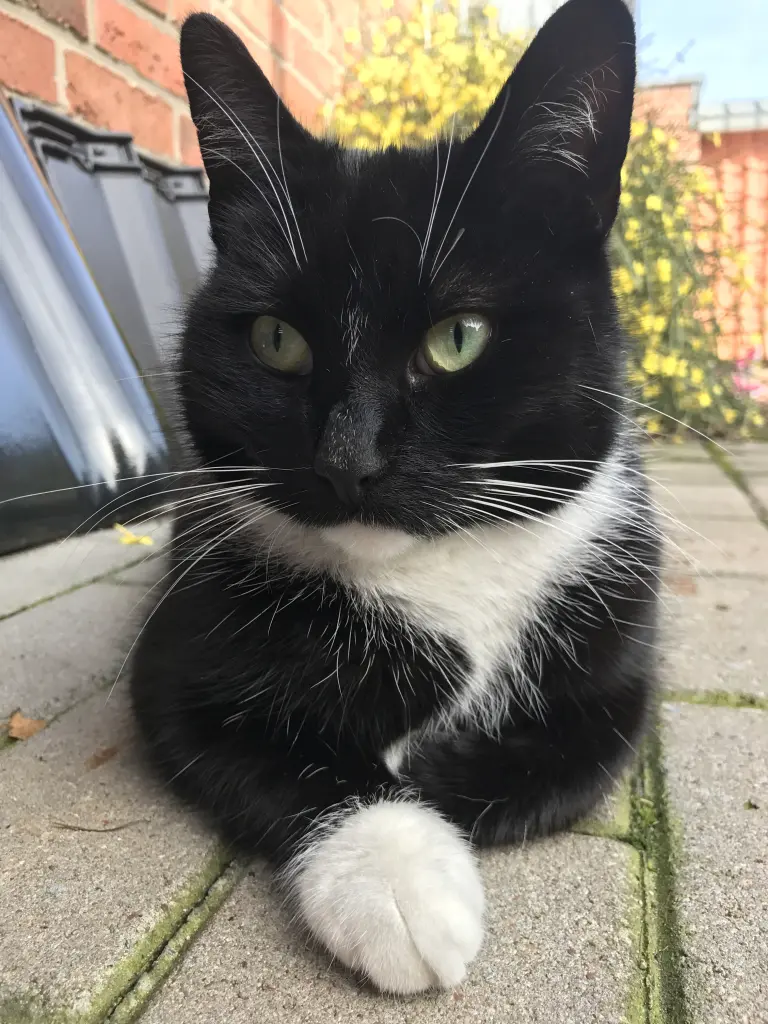 Condolence image of Marie