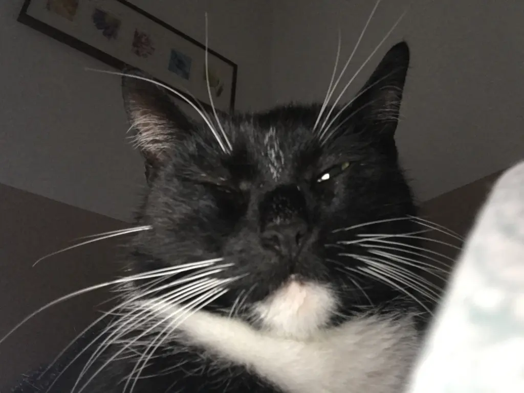 Condolence image of Marie