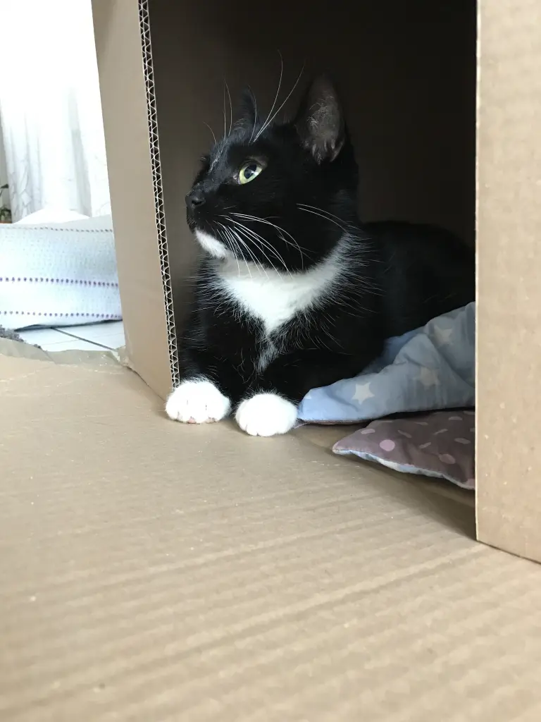 Condolence image of Marie