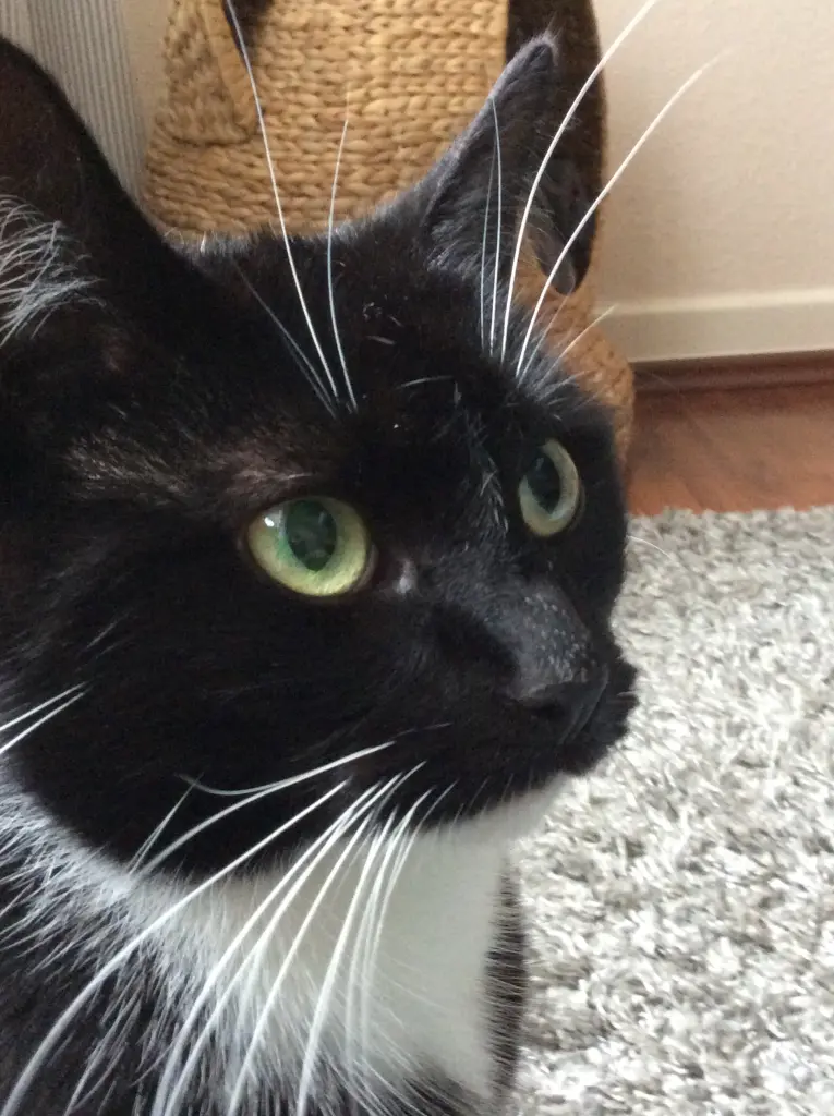 Condolence image of Marie