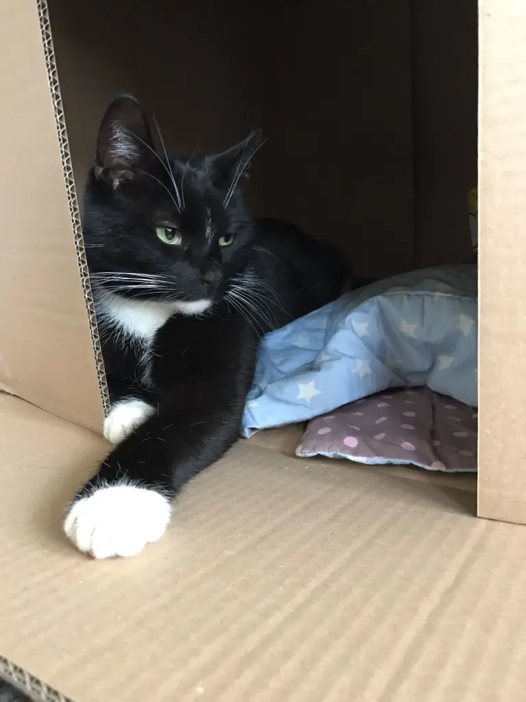 Condolence image of Oma