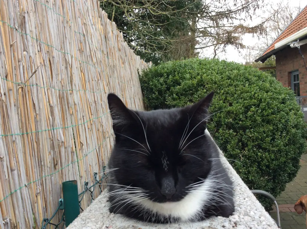 Condolence image of Marie