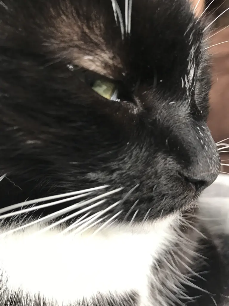 Condolence image of Kathrin