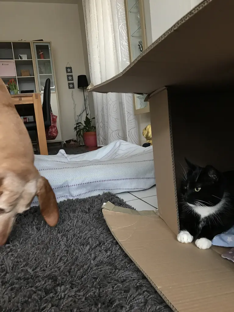 Condolence image of Marie