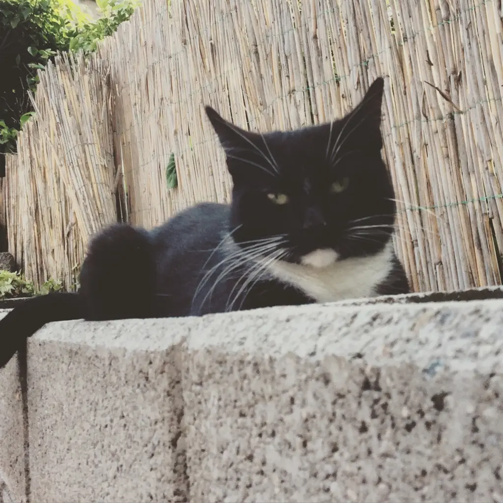 Condolence image of Marie