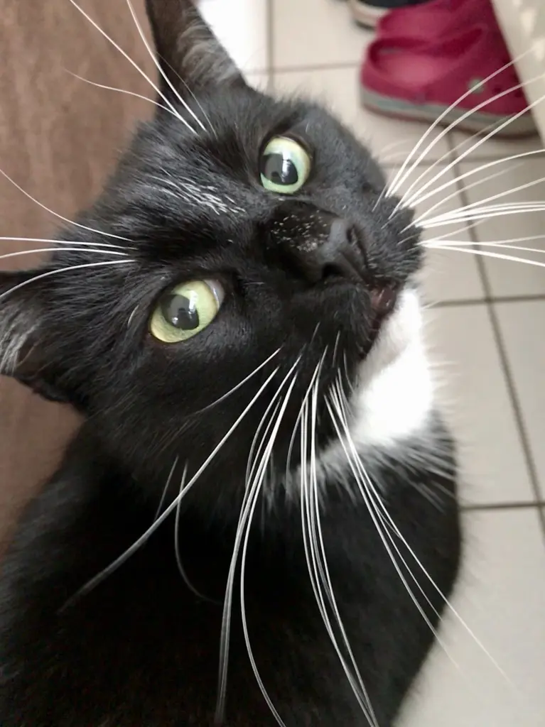 Condolence image of Marie