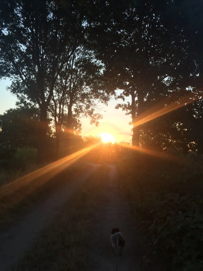 Condolence image of Oma Moni