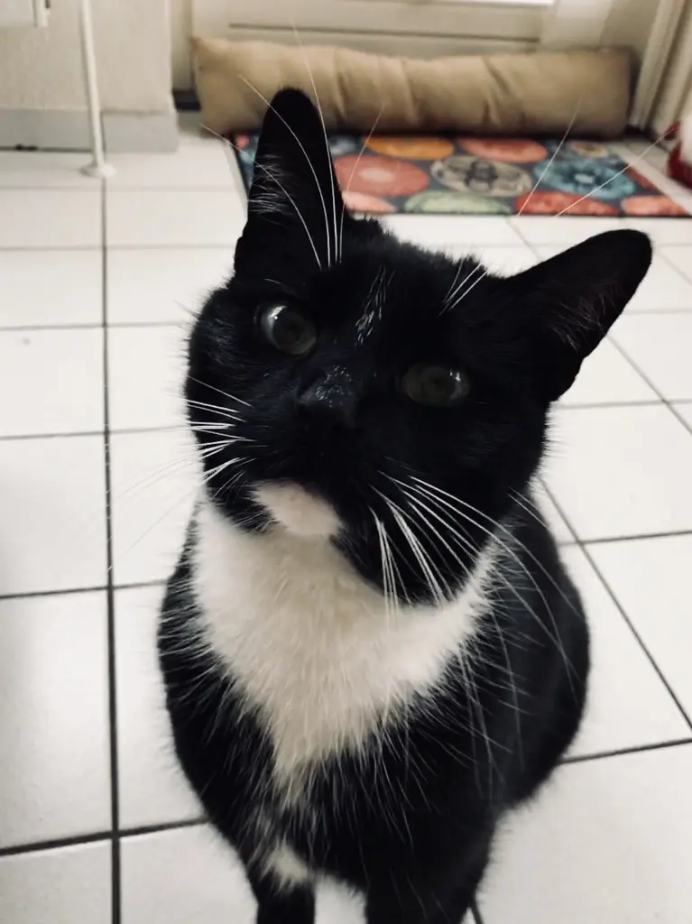 Condolence image of Marie