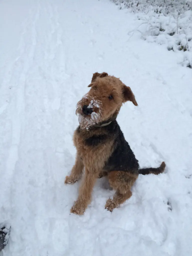 Condolence image of Cecilia