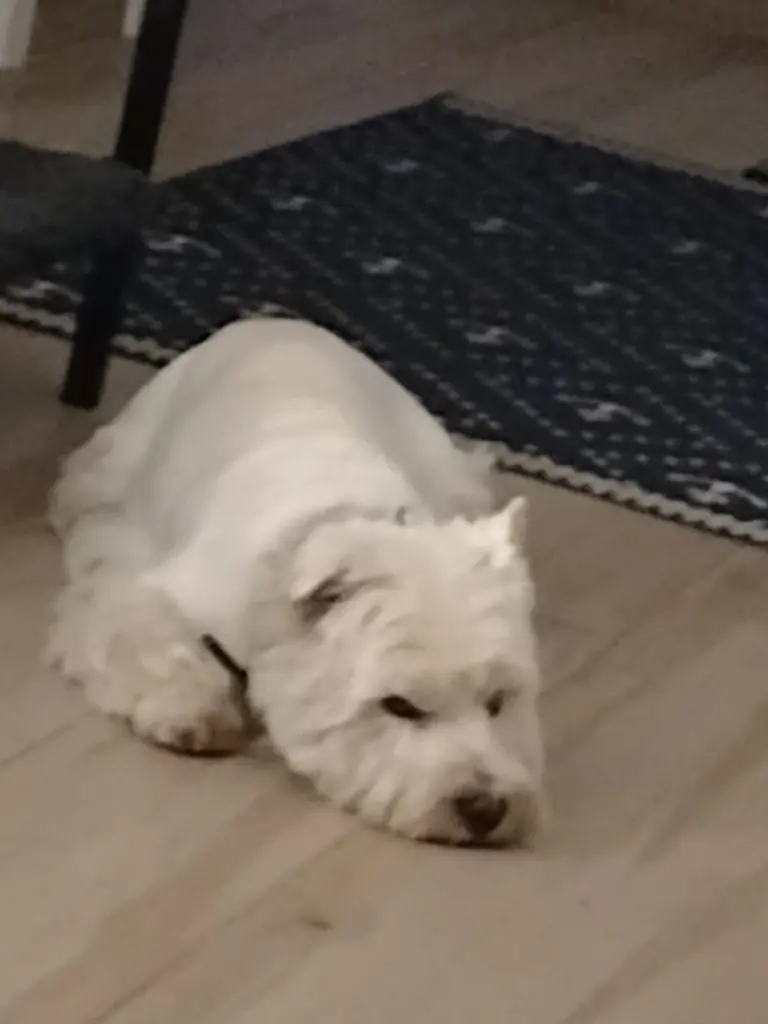 Andachtsbild von Monika Merlin u Quincy im