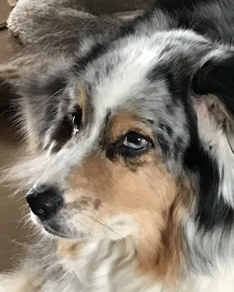 Andachtsbild von Eva mit Maya