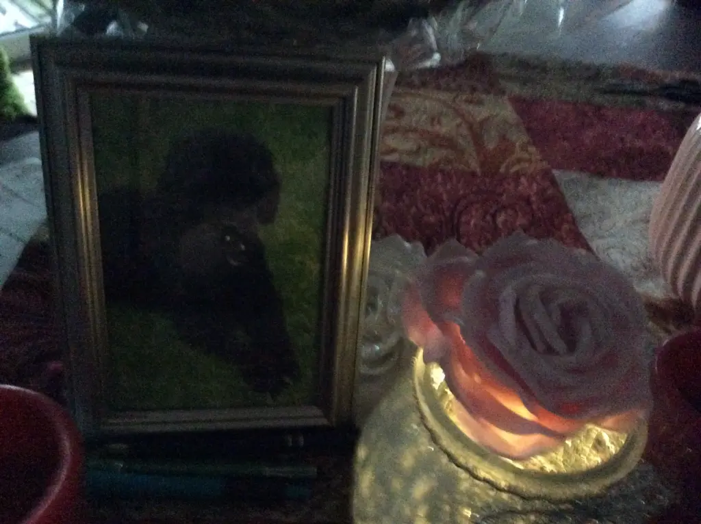 Condolence image of Heidi 