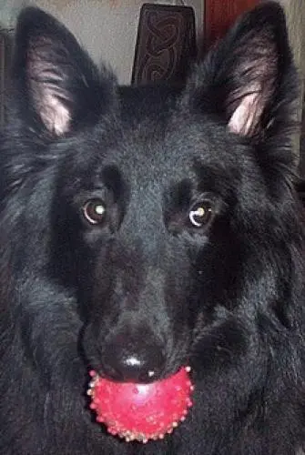 Image from caty