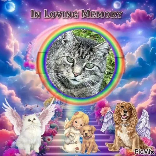 Andachtsbild von ❤️❤️❤️❤️❤️❤️❤️❤️❤️❤️❤️❤️