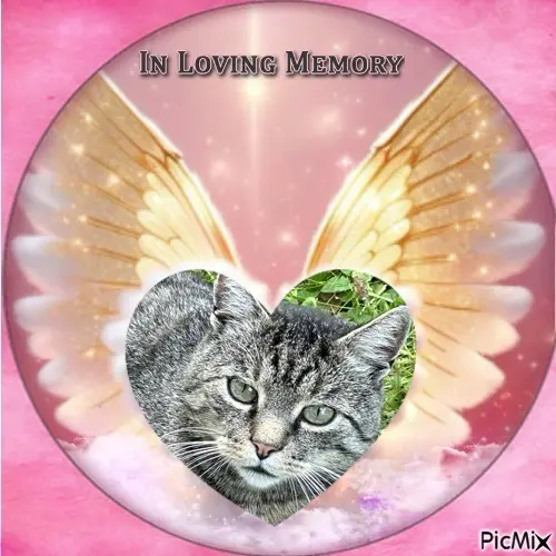 Andachtsbild von ❤️