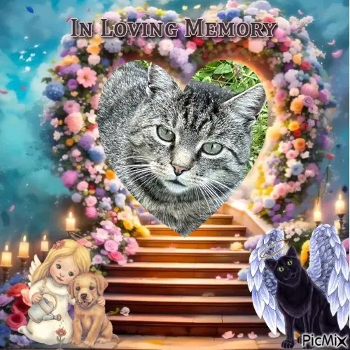 Andachtsbild von ❤️❤️❤️❤️❤️❤️❤️❤️❤️❤️❤️❤️