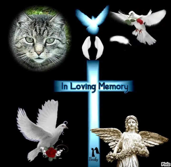 Andachtsbild von Tanja mit Timmy im Herzen