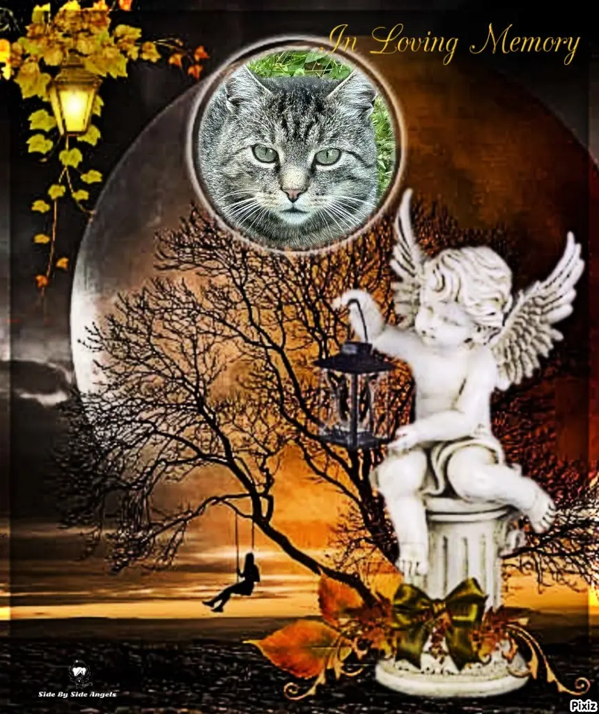 Andachtsbild von Tanja mit Timmy im Herzen 