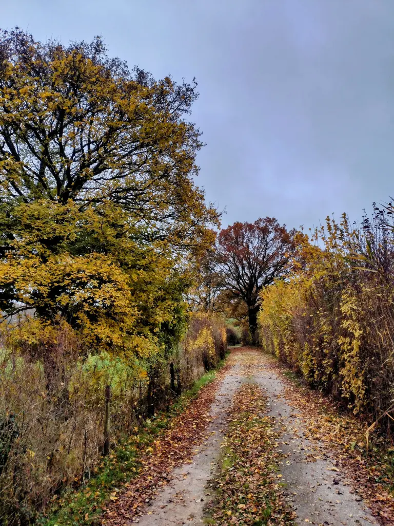 Andachtsbild von Corinna mit Emma, Vinni-Ved, Jengi, Blacky, Pummelchen und anderen Sternlein im Herzen
