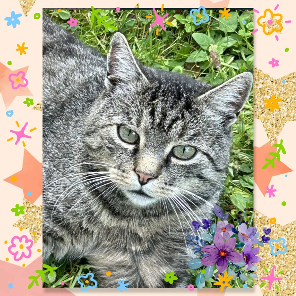 Andachtsbild von ❤️Eike und Edeltraud ❤️ 