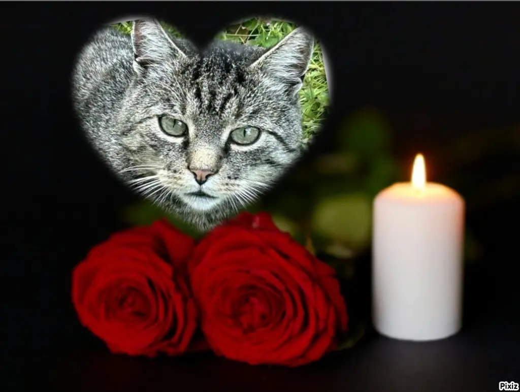 Andachtsbild von Tanja mit Timmy im Herzen