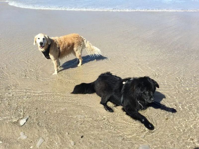 Andachtsbild von ❤️❀*.¸¸.•*❀ Himmelsbotschaft für Mutti ❀*.¸¸.•*❀❤️