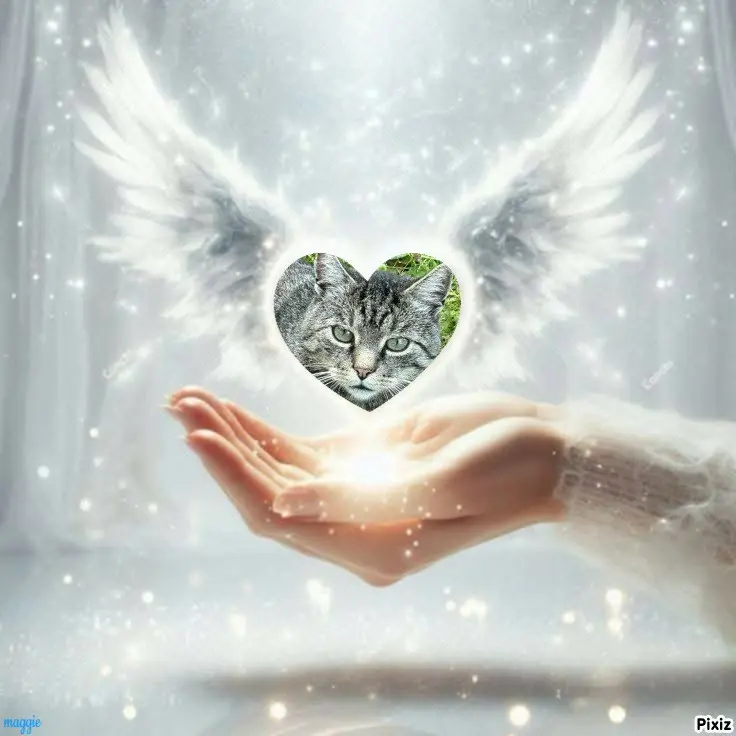 Andachtsbild von Tanja mit Timmy im Herzen 