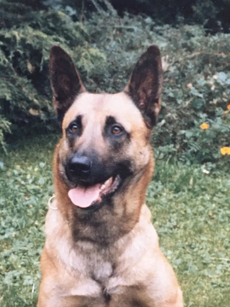 Andachtsbild von ❤️❀*.¸¸.•*❀ Himmlische Geburtstagsgrüße für Woti ❀*.¸¸.•*❀❤️