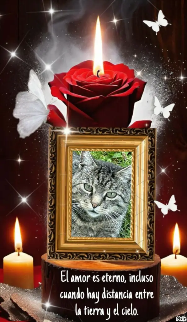 Andachtsbild von Tanja mit Timmy im Herzen 