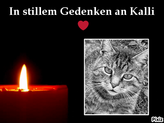 Andachtsbild von Tanja mit Timmy im Herzen 