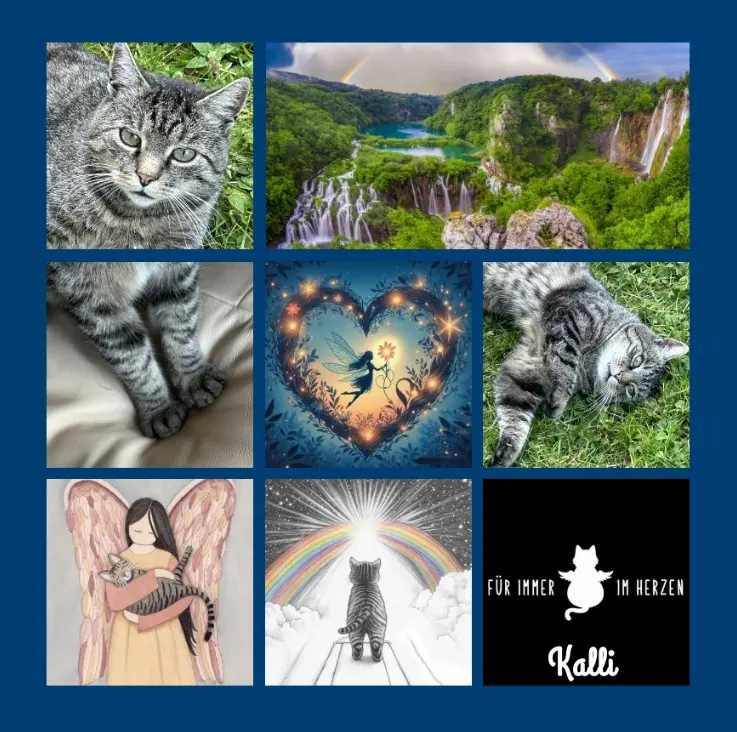 Andachtsbild von Rosen für Kalli zum 1. Sternchengeburtstag