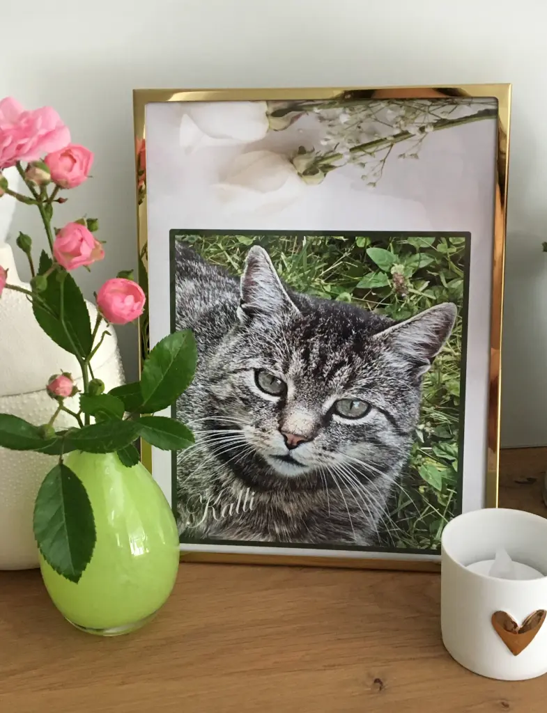 Andachtsbild von ✬¸.•*¨*•.☆Für Kalli ❤️ zum 1. Sternchengedenkjahr ✬¸.•*¨*•.☆❤️