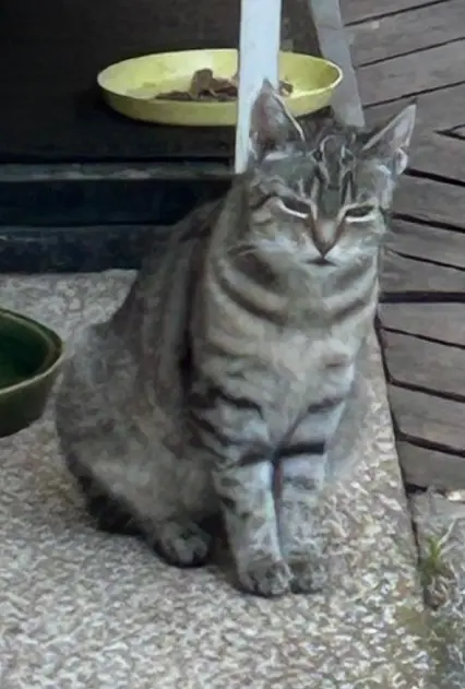 Andachtsbild von Unbekannt