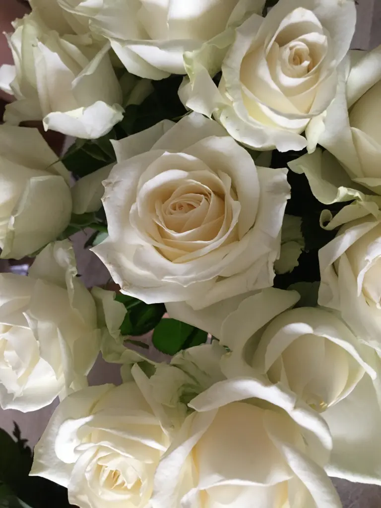 Andachtsbild von ❀*.¸¸.•*❀Rosengarten Badbergen 24.09.24❀*.¸¸.•*❀