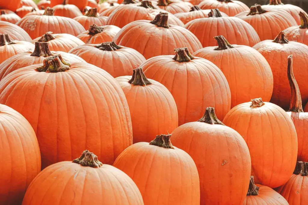 Andachtsbild von 🎃 Bald ist es soweit.... 🎃