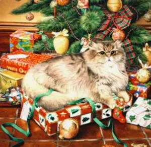 Andachtsbild von 🎄🎀🎄Himmelsgrüße❤️ und 15. Sternchengedenkmonat🎄🎀🎄