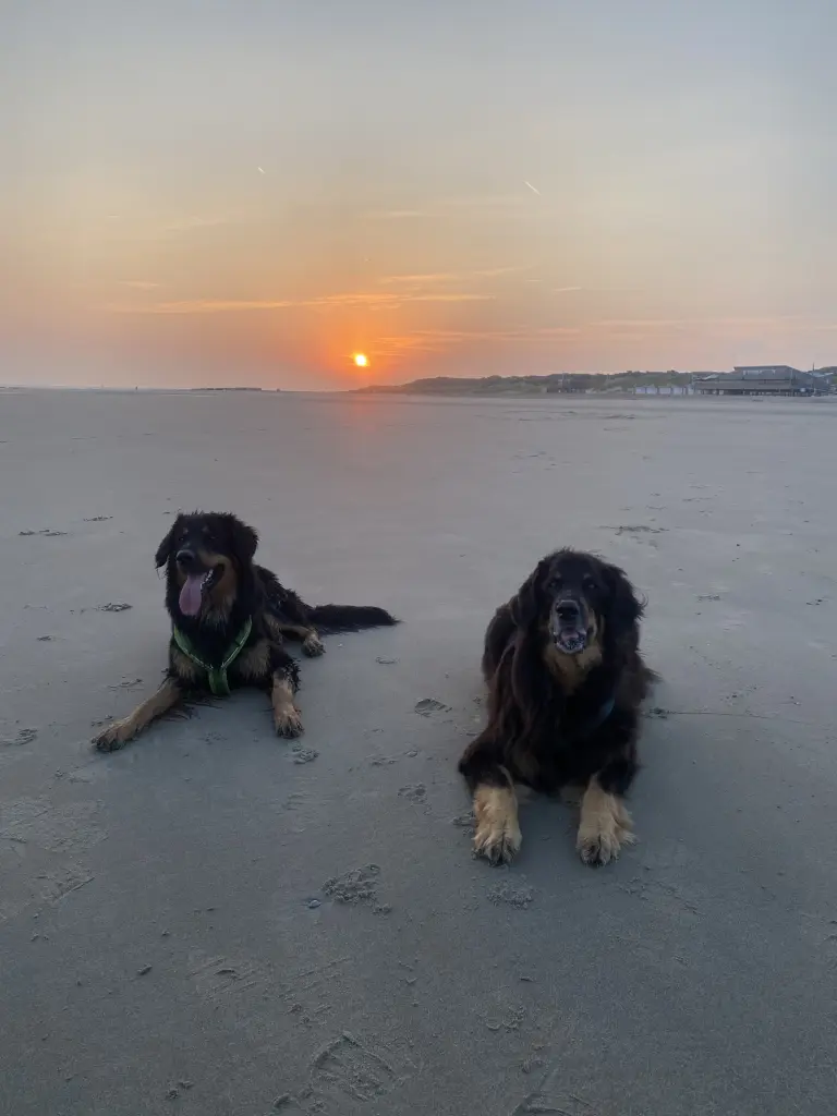 Condolence image of Kathrin