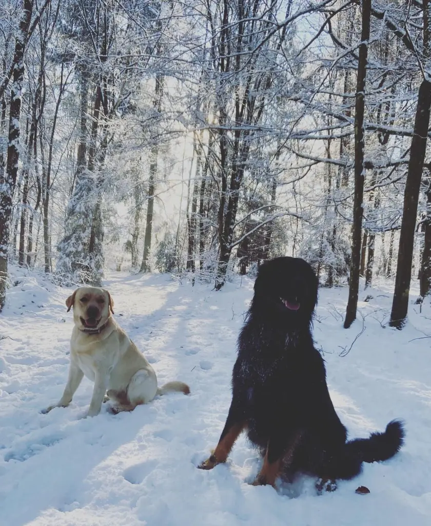 Andachtsbild von Markus mit Jasper