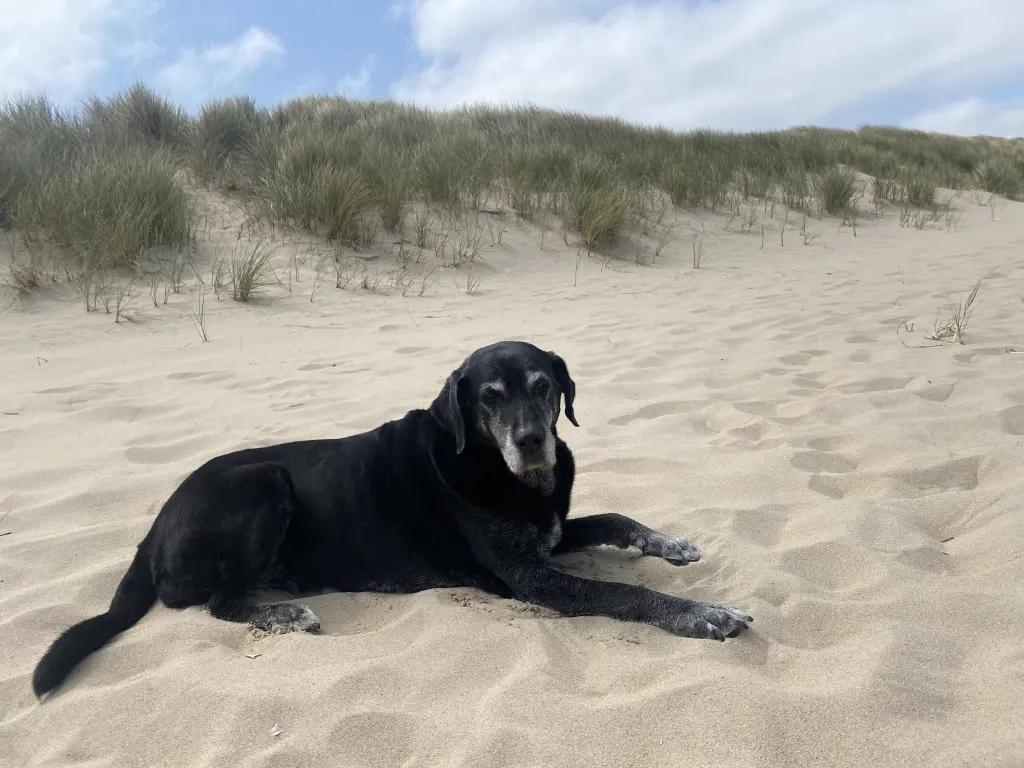 Andachtsbild von Kerstin