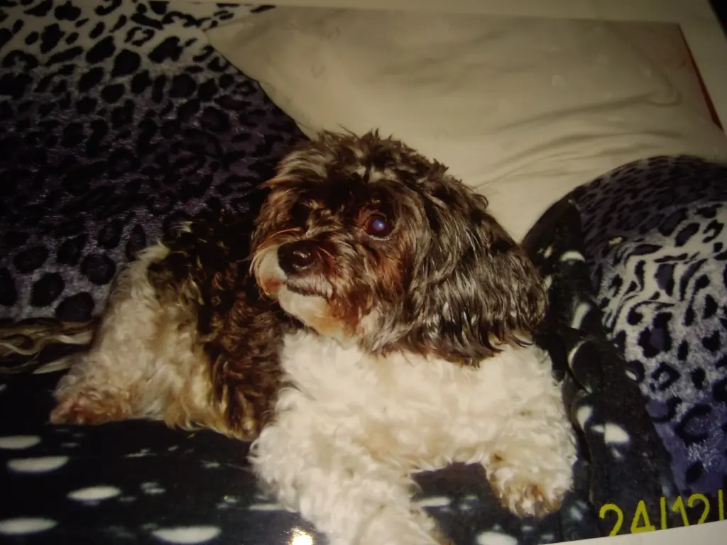 Condolence image of Sigrid