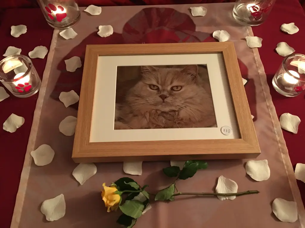 Condolence image of Stefan