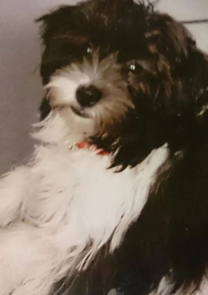 Condolence image of Sigrid