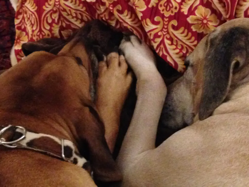 Condolence image of Anja und Fredo