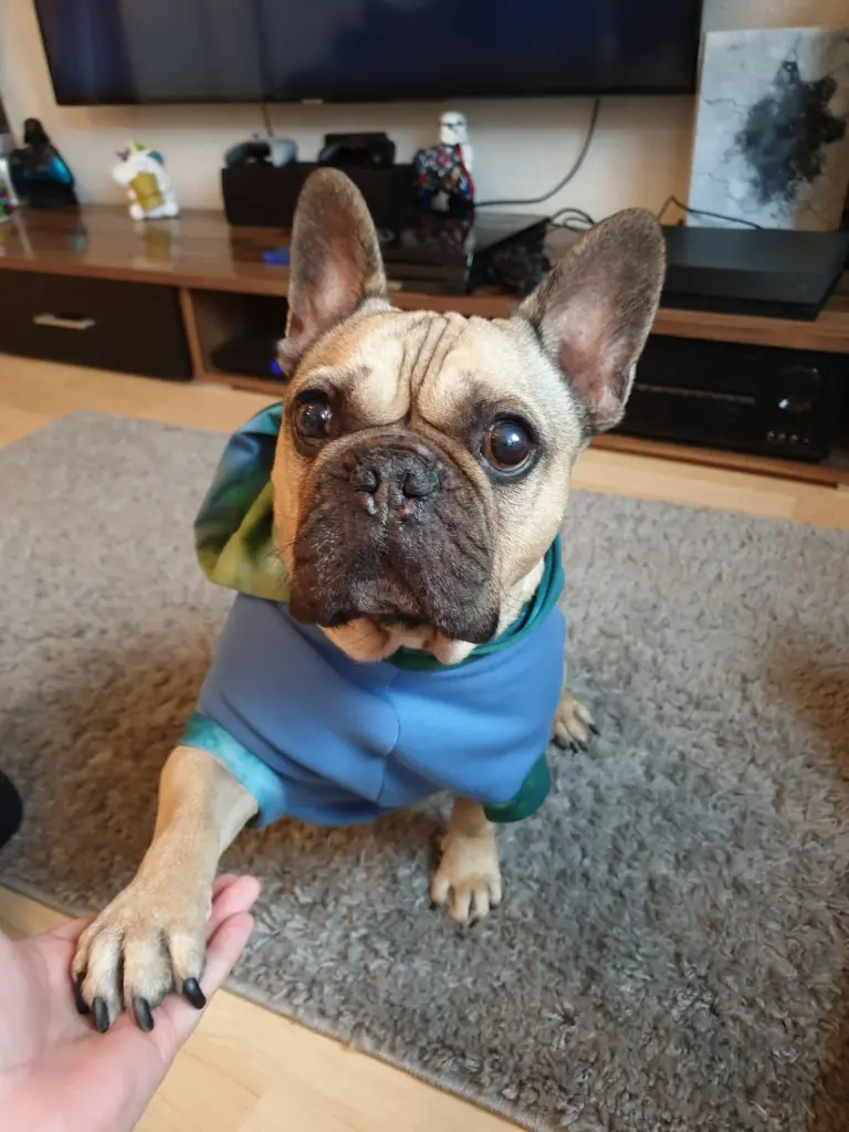 Andachtsbild von Thorsten mit Johnny im ❤️