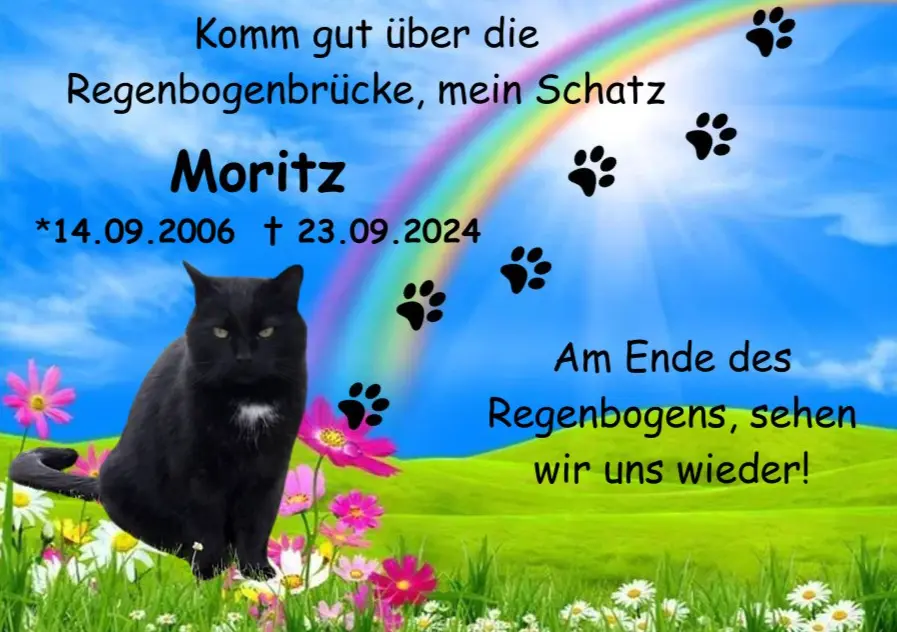 Bild von Moritz